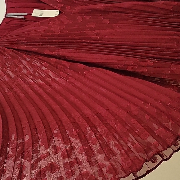 Pleated Anthropologie Dress - Picture 4 of 8